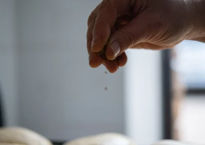 Sésame sur les pains burgers